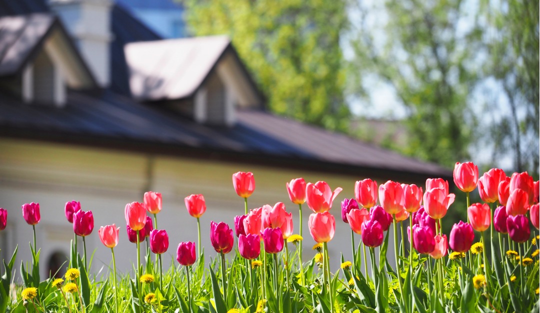 How to Make Your Landscape Pop and Attract Homebuyers